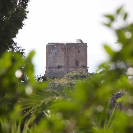 Hibiscus Scopello (Sicily)
