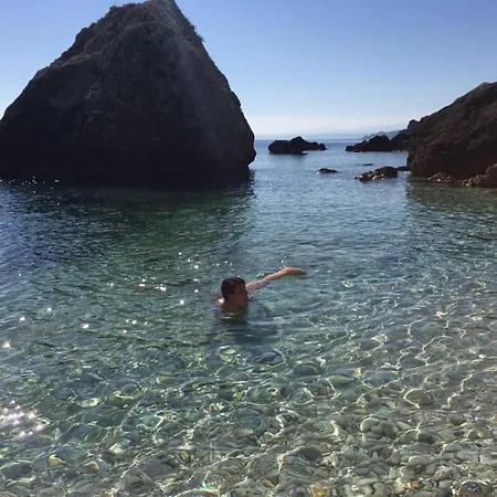 Hibiscus Scopello (Sicily)