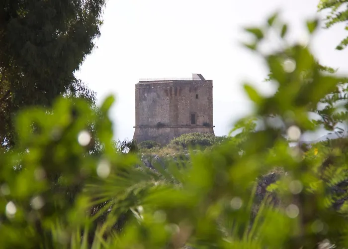 Hibiscus Scopello (Sicily)