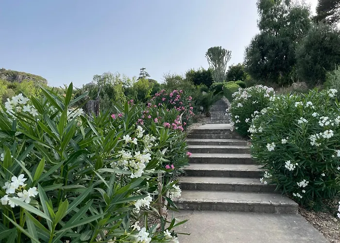 Hibiscus * Scopello (Sicily)