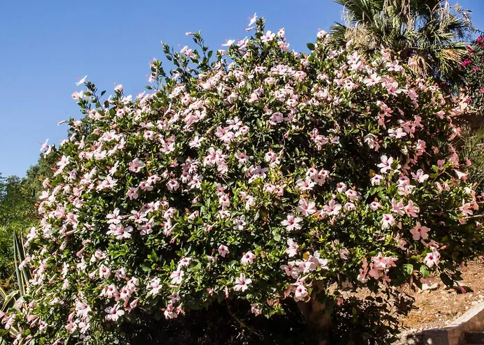 Hibiscus Casa vacanze Scopello (Sicily)